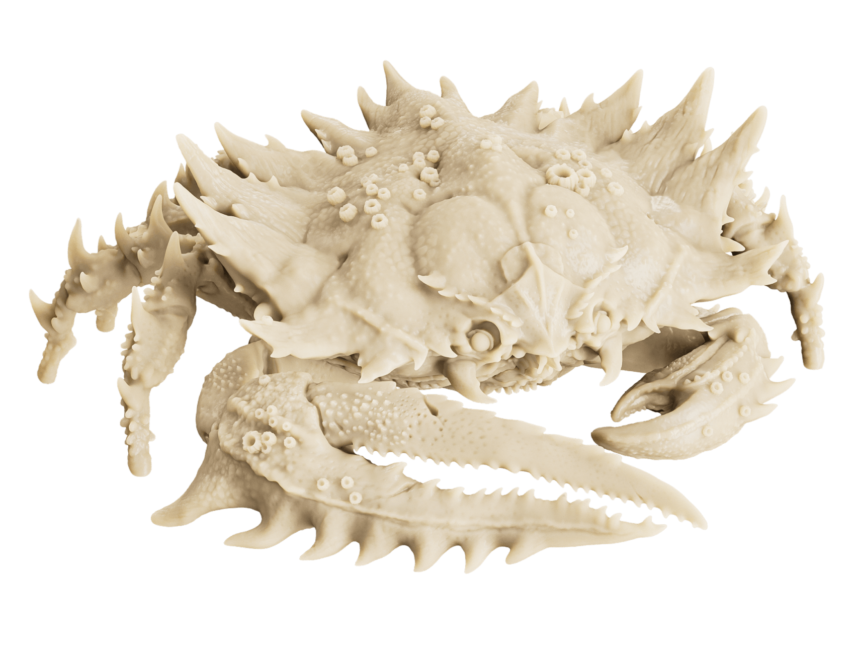 Model by create lab